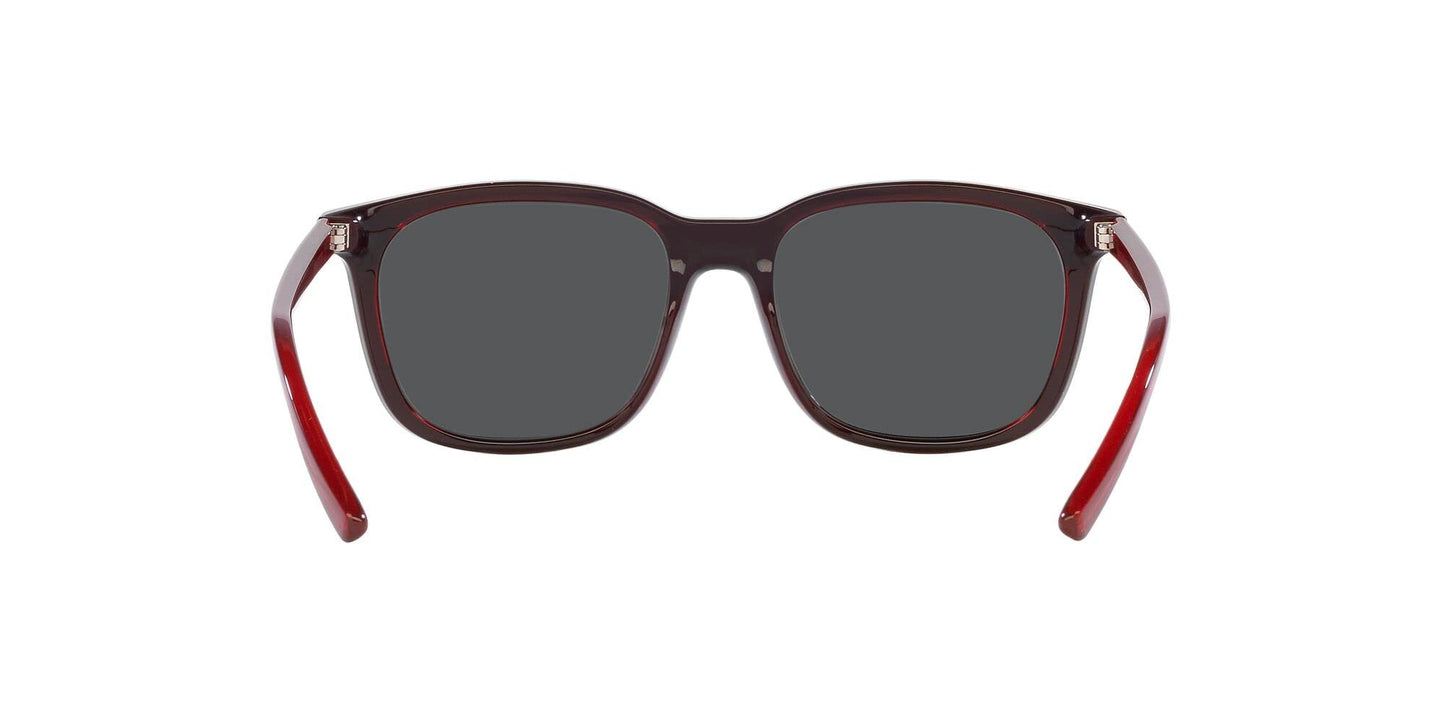 ARNETTE 0AN4316 288055 51mm C'roll Top Blue on Transparent Red Sunglasses