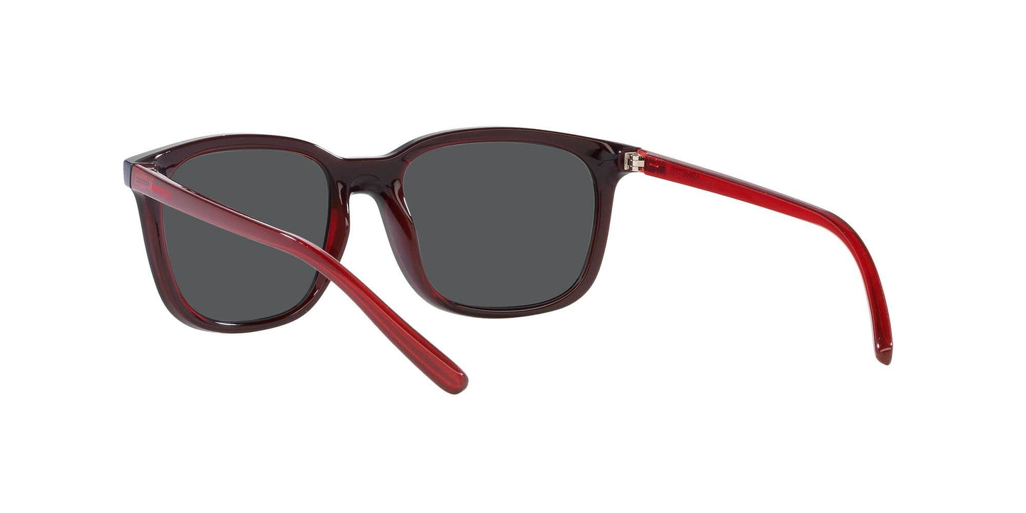 ARNETTE 0AN4316 288055 51mm C'roll Top Blue on Transparent Red Sunglasses