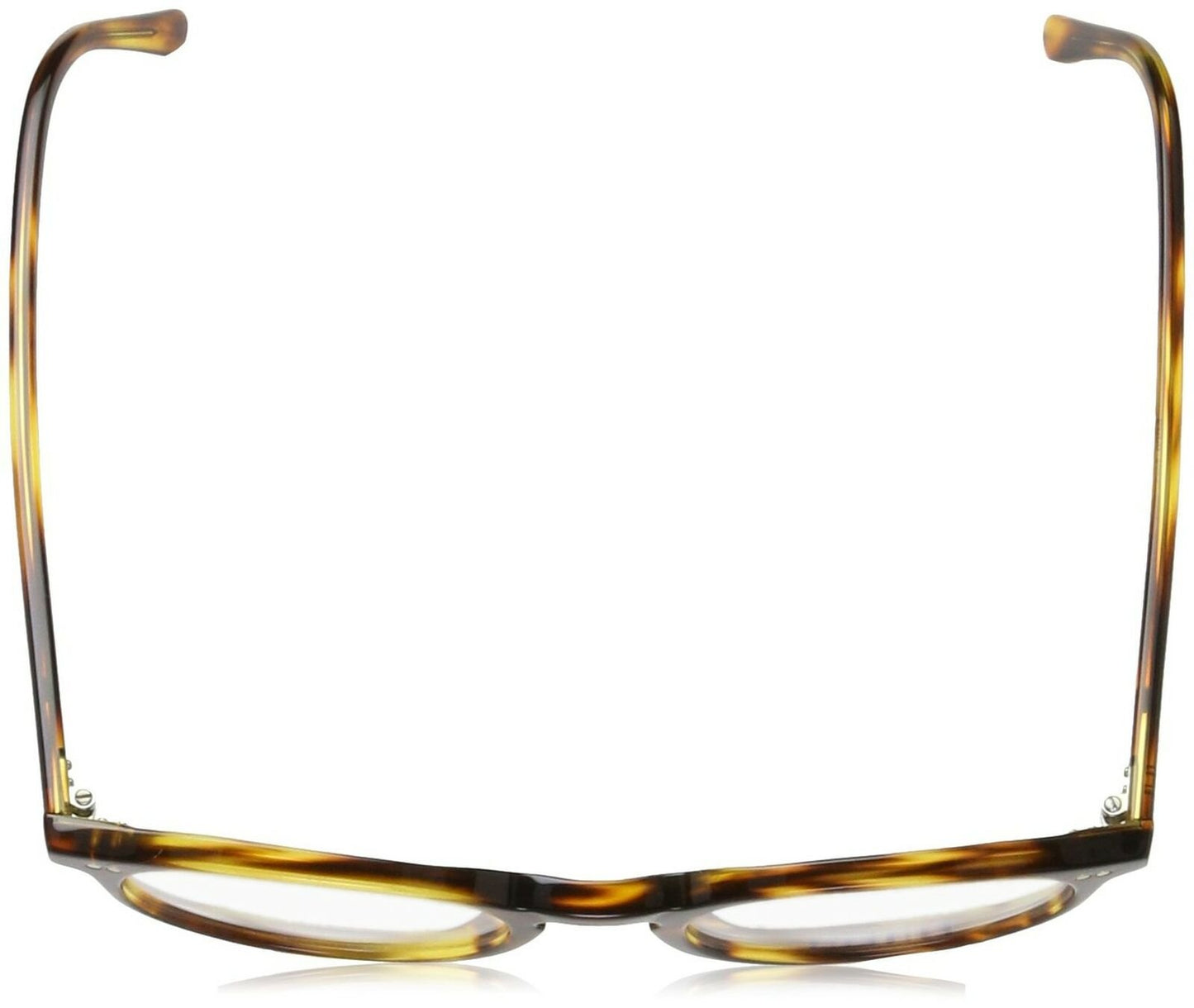Polo Men's PH2083 Eyeglasses Havana Striped 48mm