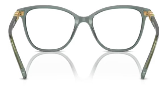 Swarovski Women's Sk2020 1043 52mm Square Transparent Green Eyewear Frames