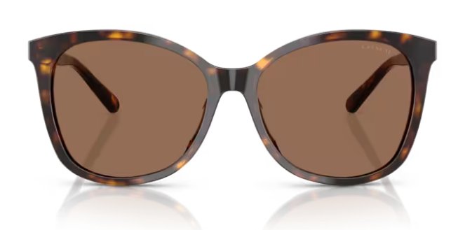 Coach 0HC8271 512073 57mm Butterfly Brown Sunglasses