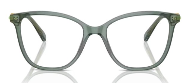 Swarovski Women's Sk2020 1043 52mm Square Transparent Green Eyewear Frames