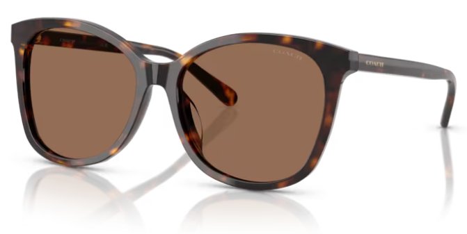 Coach 0HC8271 512073 57mm Butterfly Brown Sunglasses